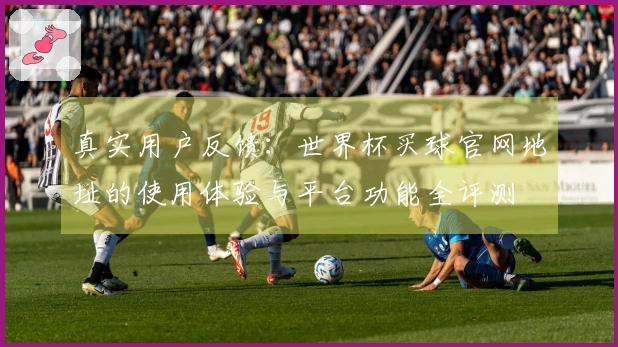 真实用户反馈：世界杯买球官网地址的使用体验与平台功能全评测