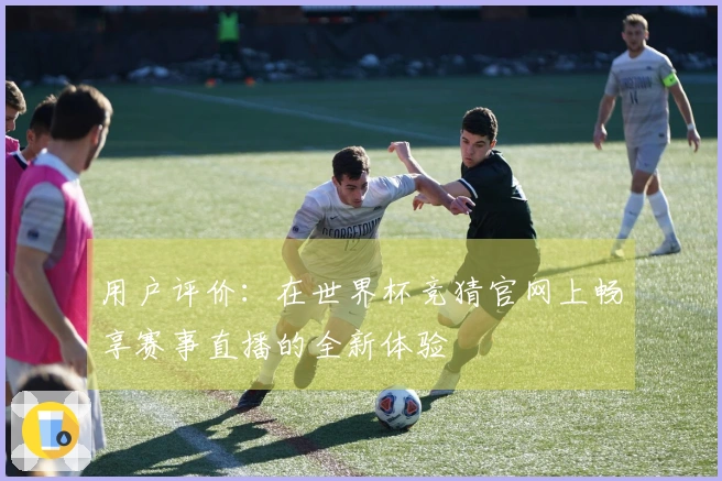 用户评价：在世界杯竞猜官网上畅享赛事直播的全新体验