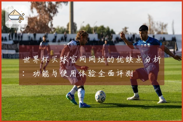 世界杯买球官网网址的优缺点分析：功能与使用体验全面评测