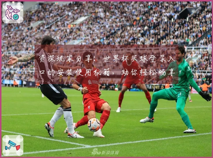 资深玩家分享：世界杯买球登录入口的安装使用秘籍，助你轻松畅享体育直播