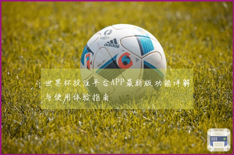 世界杯投注平台APP最新版功能详解与使用体验指南