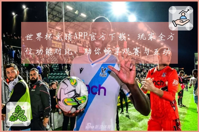 世界杯竞猜APP官方下载：玩家全方位功能对比，助你畅享观赛与互动体验