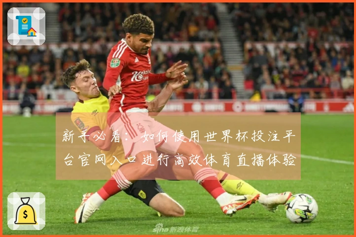 新手必看:如何使用世界杯投注平台官网入口进行高效体育直播体验