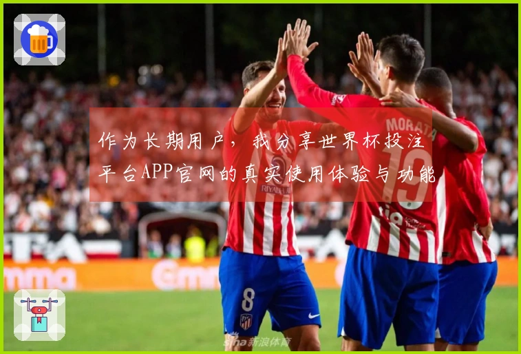 作为长期用户，我分享世界杯投注平台APP官网的真实使用体验与功能评测