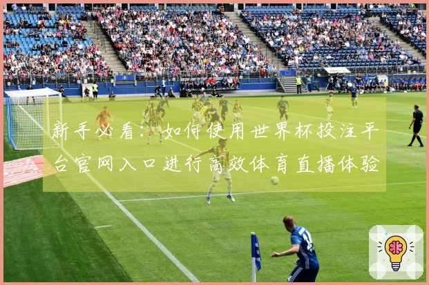 新手必看：如何使用世界杯投注平台官网入口进行高效体育直播体验