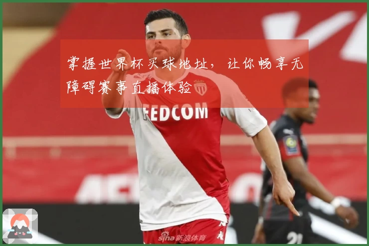 掌握世界杯买球地址，让你畅享无障碍赛事直播体验