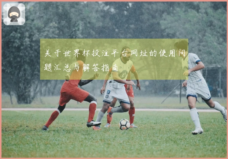 关于世界杯投注平台网址的使用问题汇总与解答指南
