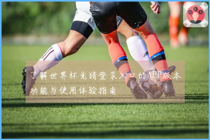 了解世界杯竞猜登录入口的APP版本功能与使用体验指南
