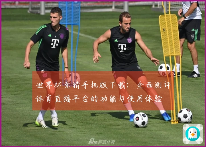 世界杯竞猜手机版下载:全面测评体育直播平台的功能与使用体验