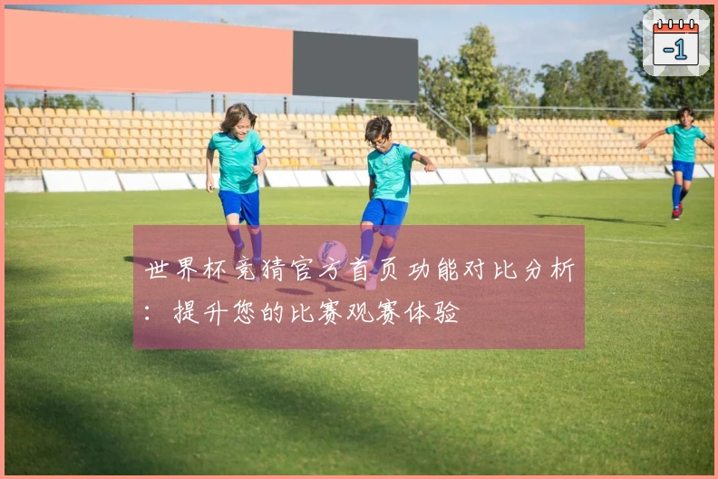 世界杯竞猜官方首页功能对比分析：提升您的比赛观赛体验