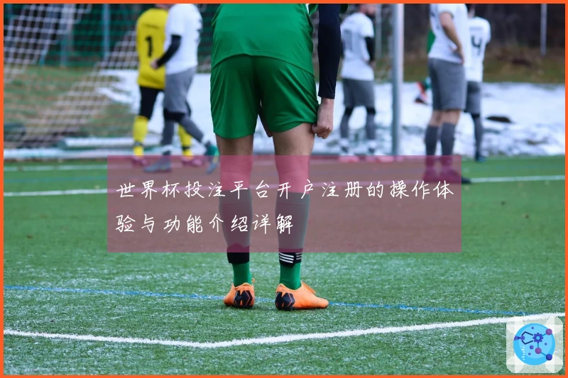 世界杯投注平台开户注册的操作体验与功能介绍详解