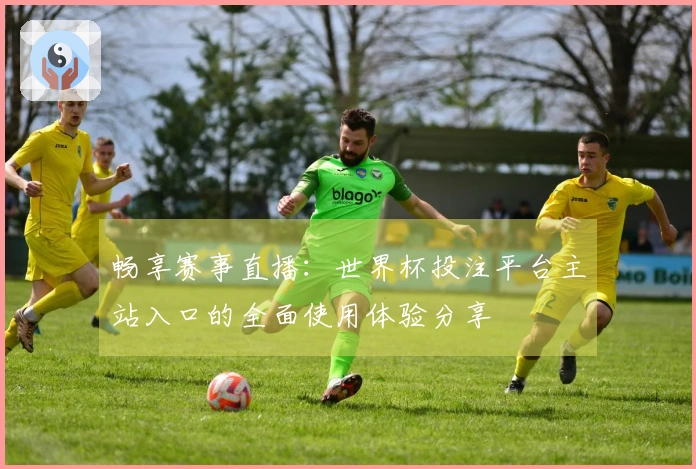 畅享赛事直播：世界杯投注平台主站入口的全面使用体验分享
