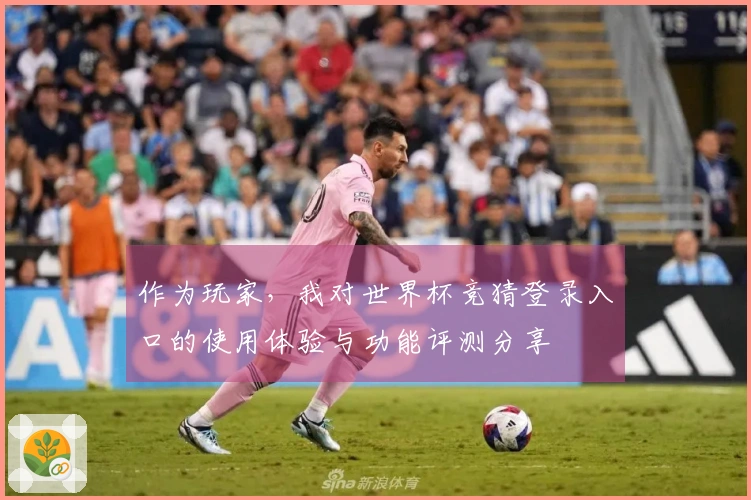 作为玩家，我对世界杯竞猜登录入口的使用体验与功能评测分享