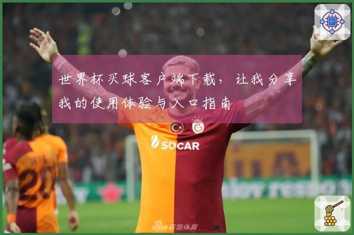 世界杯买球客户端下载，让我分享我的使用体验与入口指南